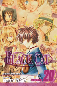 Image of Black Cat 20