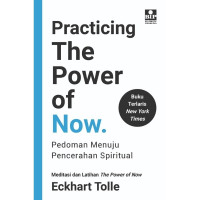 Image of Practicing The Power Of Now